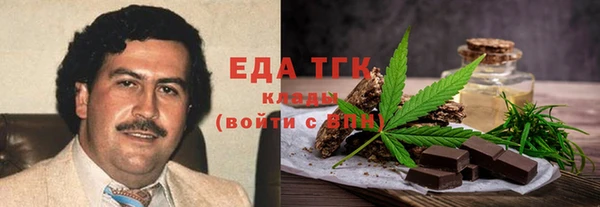 СК Дмитров