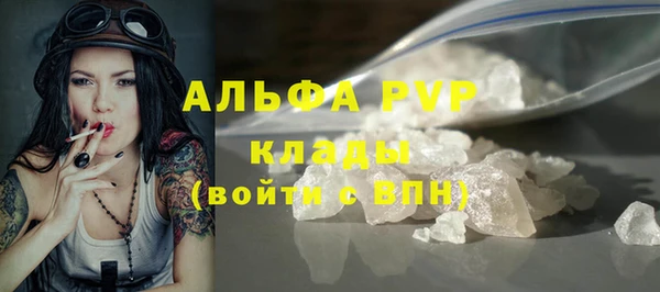 СК Дмитров