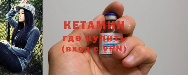 крисы Дмитриев
