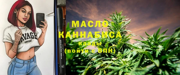 СК Дмитров