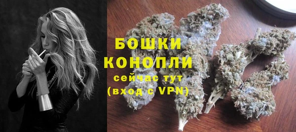 СК Дмитров