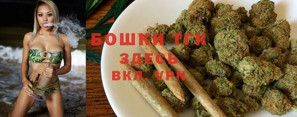 крисы Дмитриев