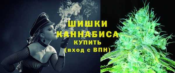 СК Дмитров