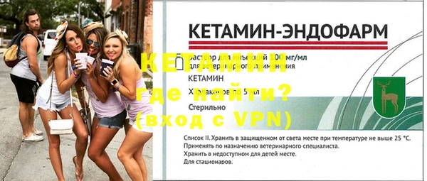 СК Дмитров