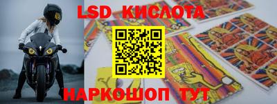 трава Гатчина