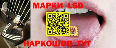 спиды Дубна