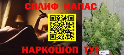трава Гатчина