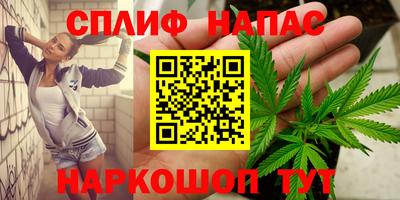 трава Гатчина