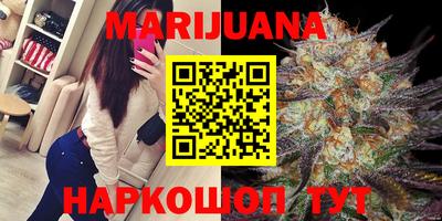 трава Гатчина