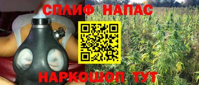 трава Гатчина