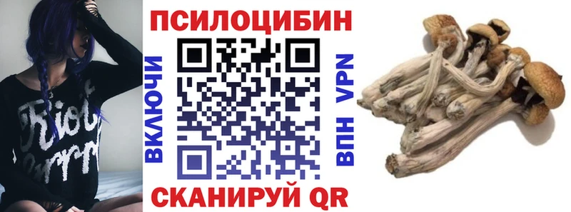 Псилоцибиновые грибы GOLDEN TEACHER  продажа наркотиков  Еманжелинск 