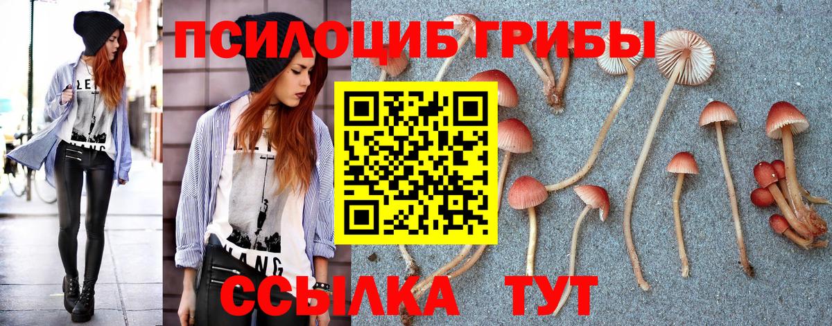 Галлюциногенные грибы Psilocybe Еманжелинск